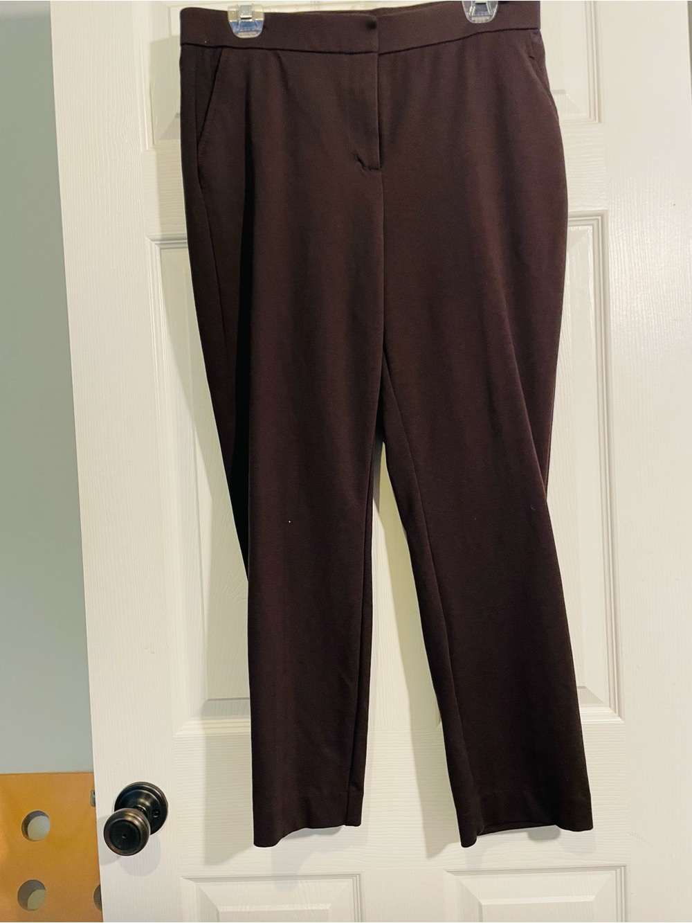 Banana Republic Ponte Pants in Dark Brown